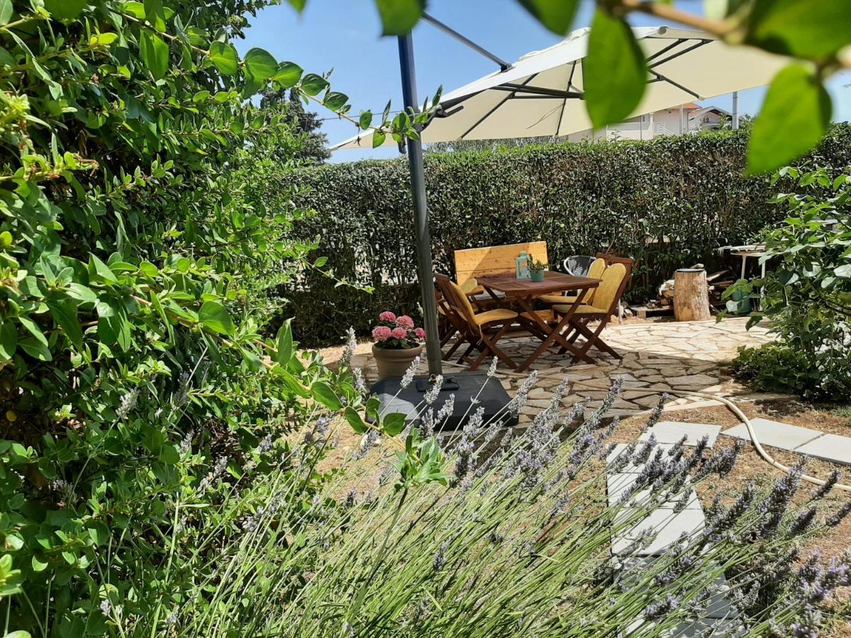 Apartments Borna Drage Εξωτερικό φωτογραφία