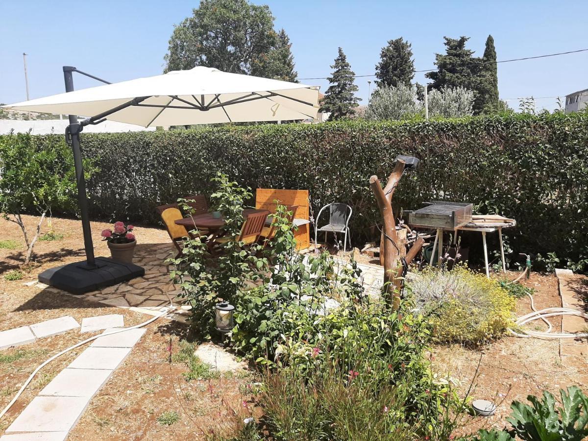 Apartments Borna Drage Εξωτερικό φωτογραφία