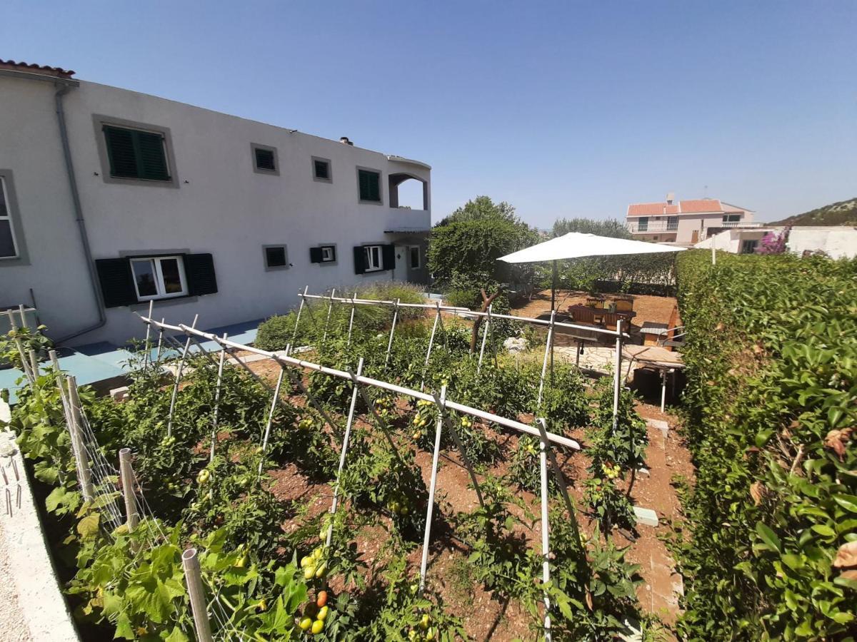 Apartments Borna Drage Εξωτερικό φωτογραφία